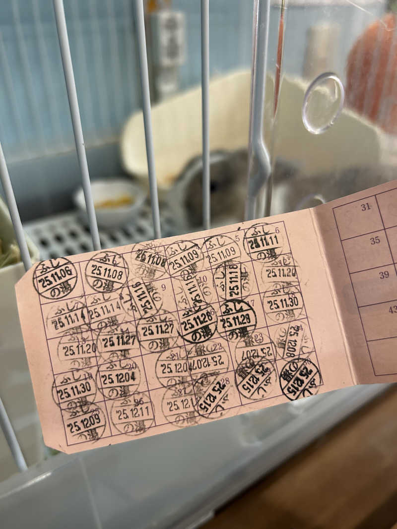 おぷさんのアクアリゾート 岐阜ふじの湯のサ活写真