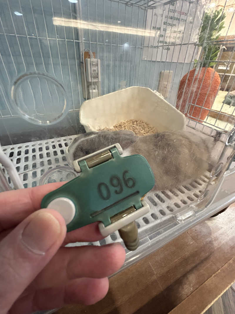 おぷさんのアクアリゾート 岐阜ふじの湯のサ活写真