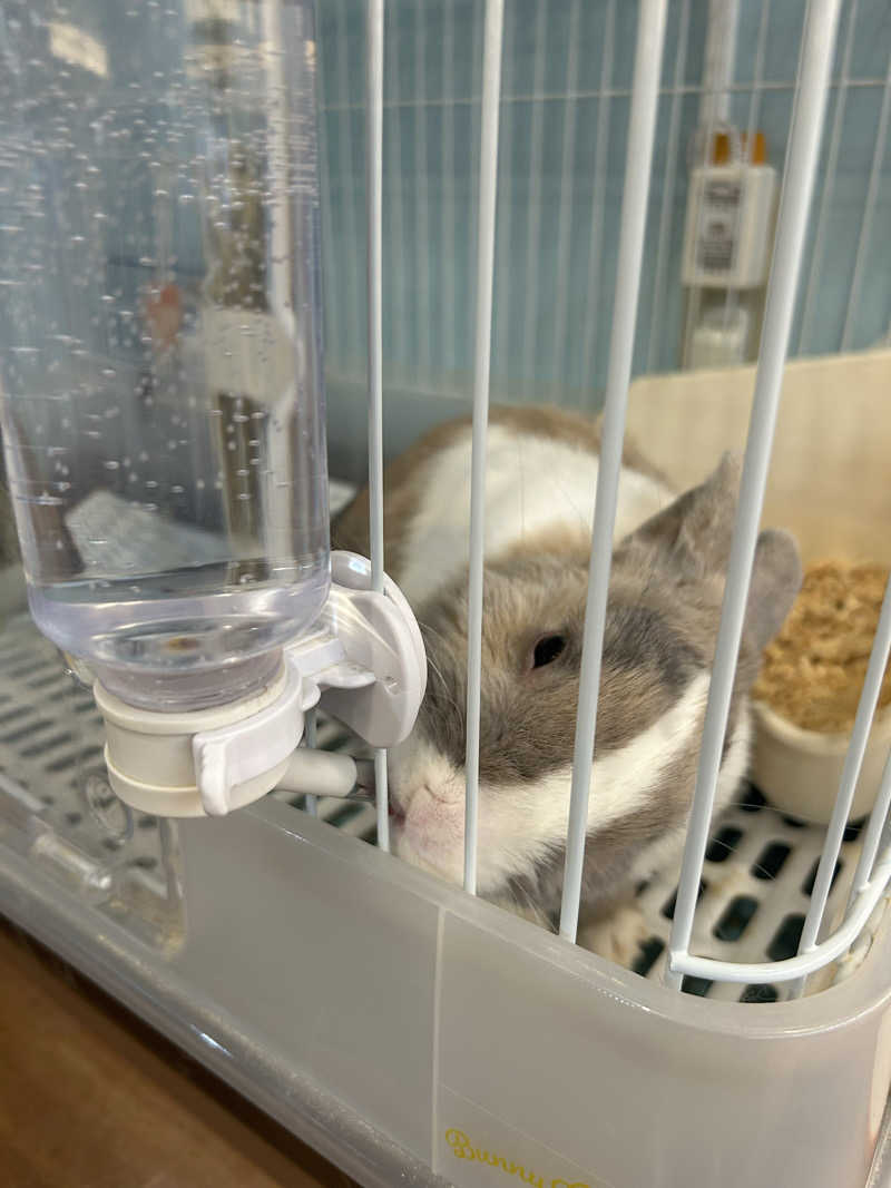 おぷさんのアクアリゾート 岐阜ふじの湯のサ活写真