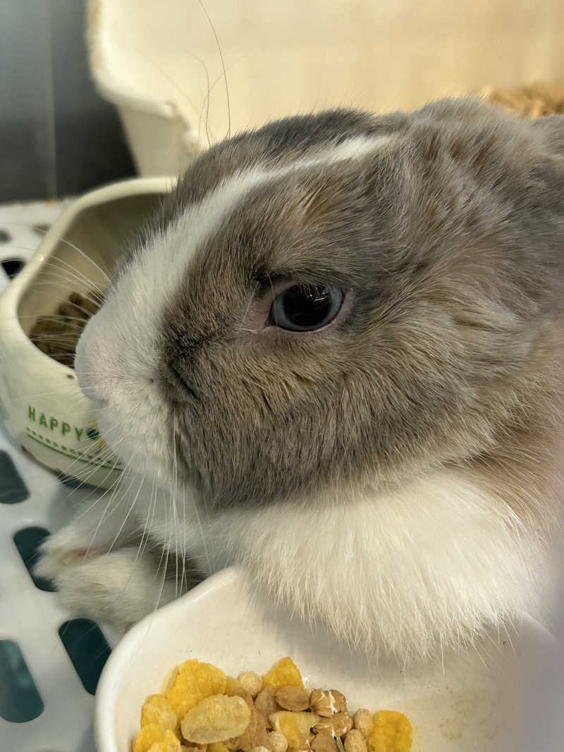 おぷさんのアクアリゾート 岐阜ふじの湯のサ活写真