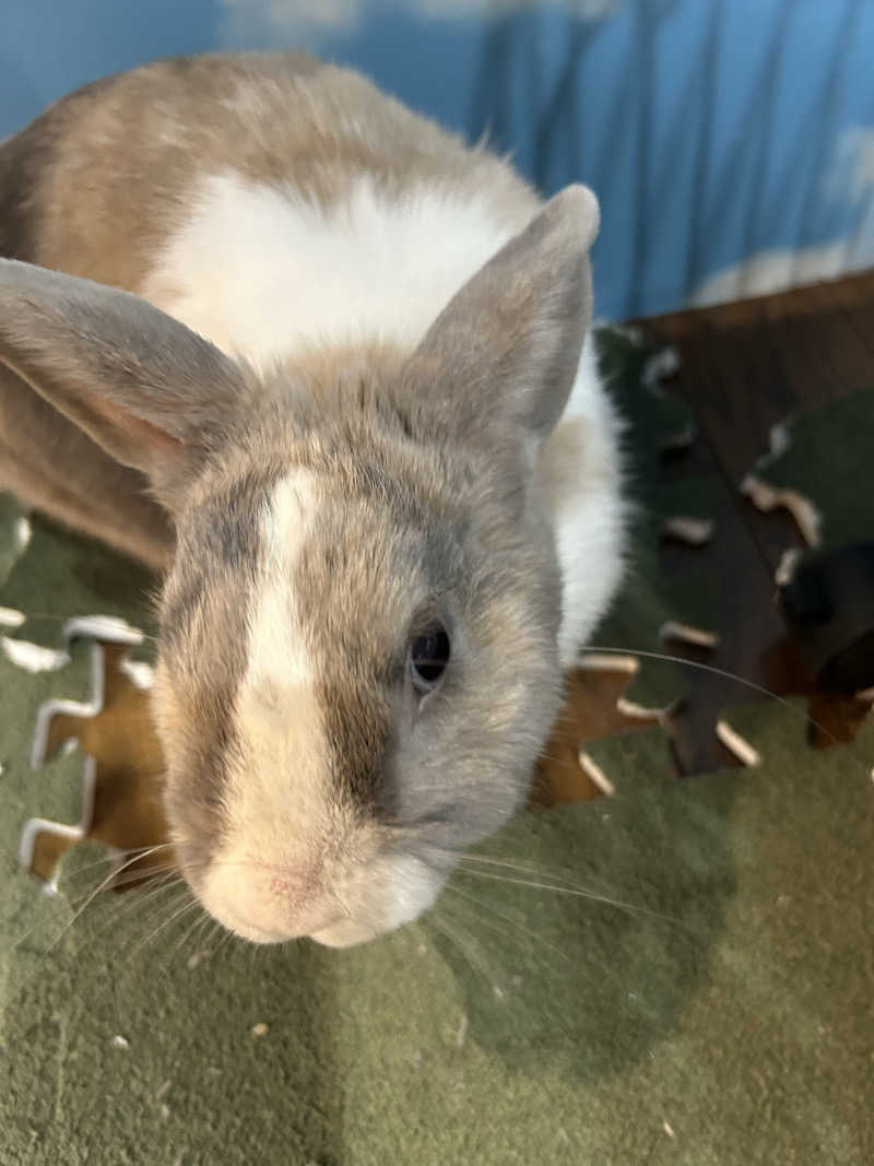 おぷさんのアクアリゾート 岐阜ふじの湯のサ活写真