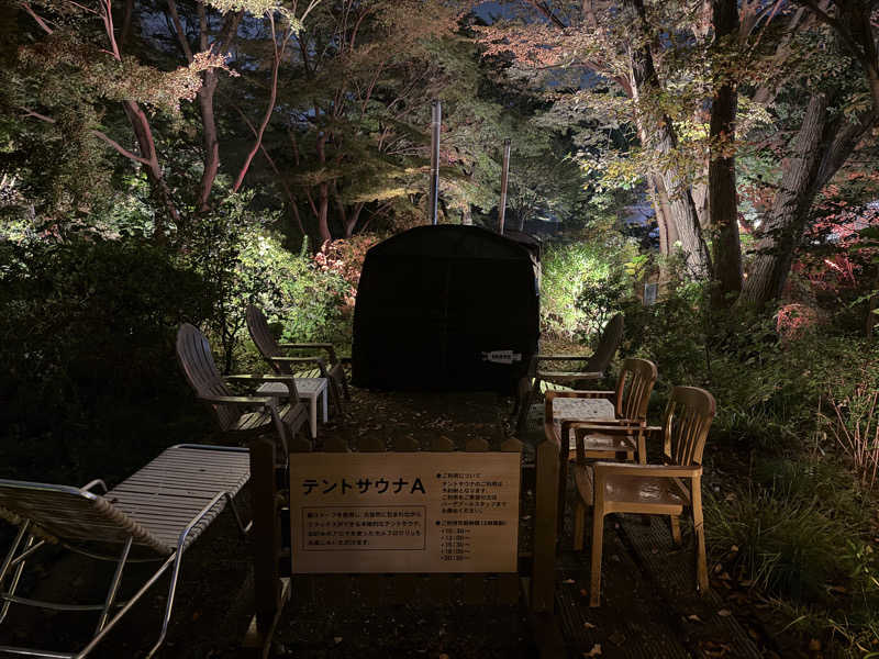 よっしーさんの豊島園 庭の湯のサ活写真