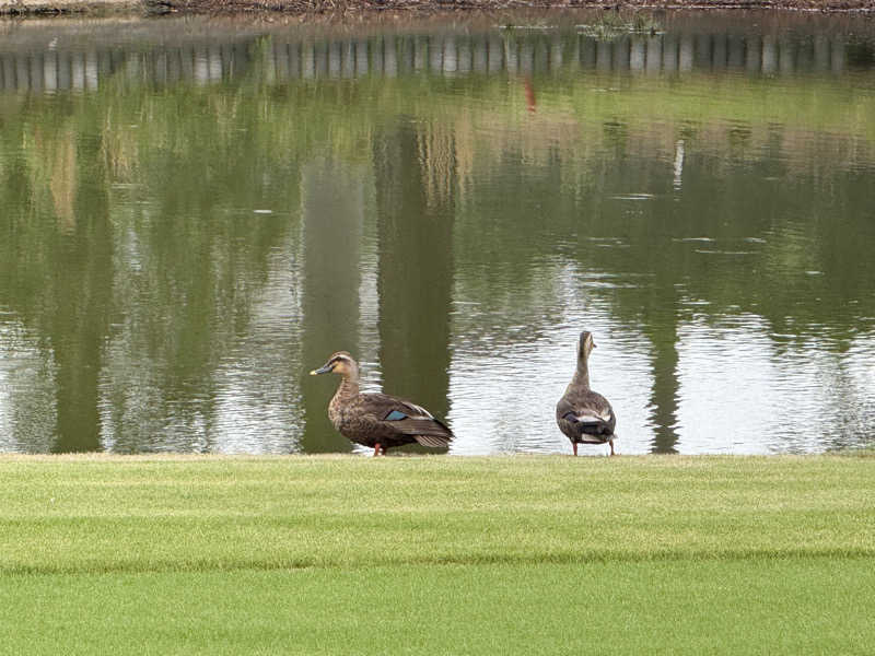 よっしーさんのサウナきさらづ つぼやのサ活写真