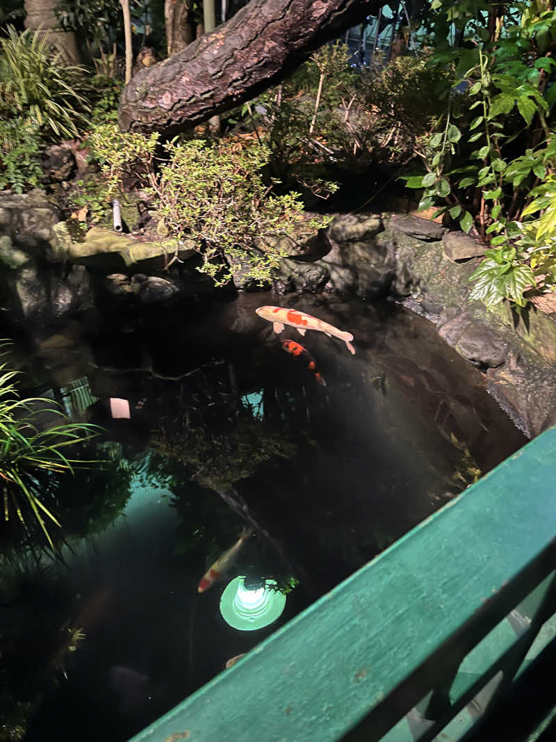 モモンガ　京都銭湯さんの栄盛湯のサ活写真