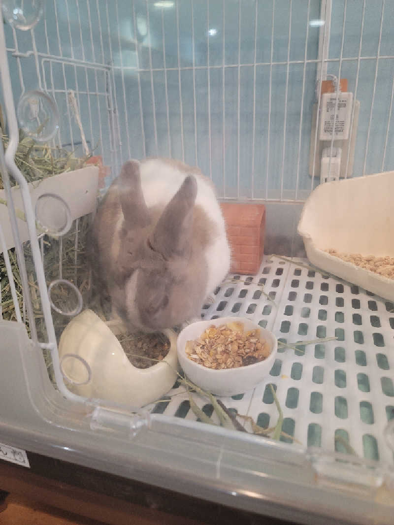 shingo-saunaさんのアクアリゾート 岐阜ふじの湯のサ活写真