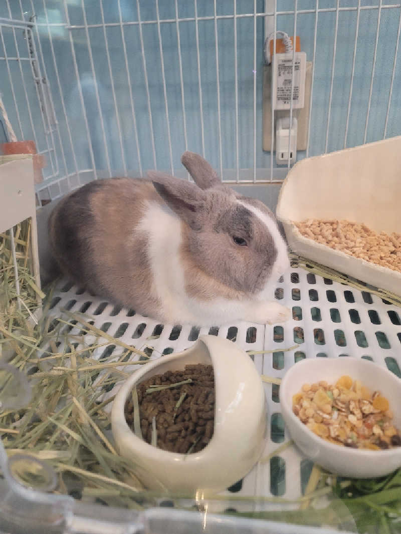 shingo-saunaさんのアクアリゾート 岐阜ふじの湯のサ活写真