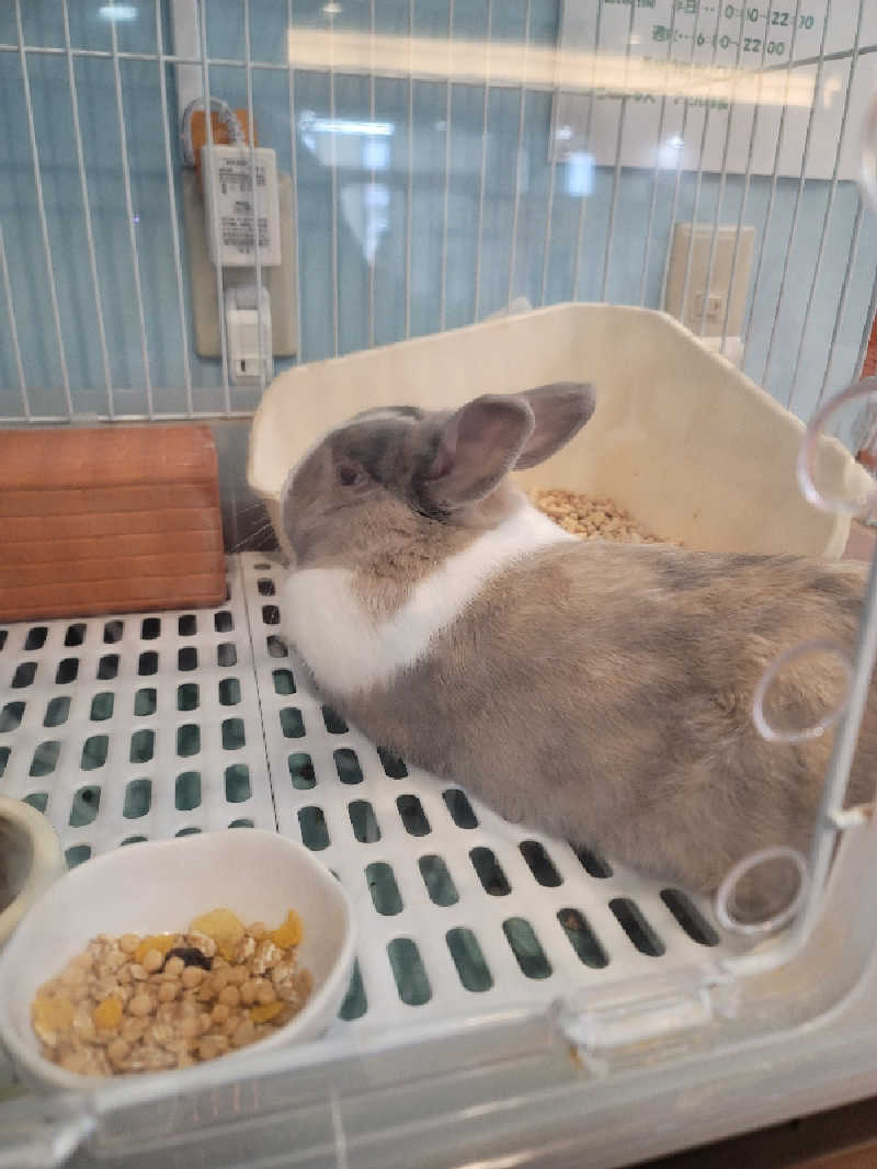 shingo-saunaさんのアクアリゾート 岐阜ふじの湯のサ活写真