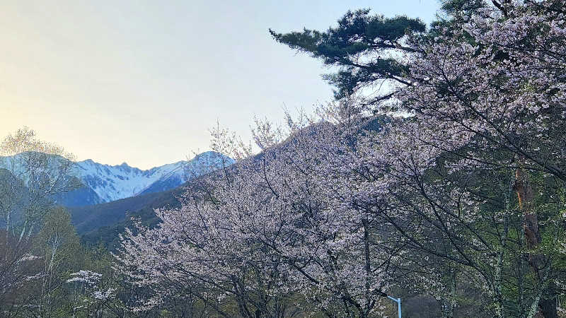 まっきー（・〜・）さんのこまくさの湯のサ活写真
