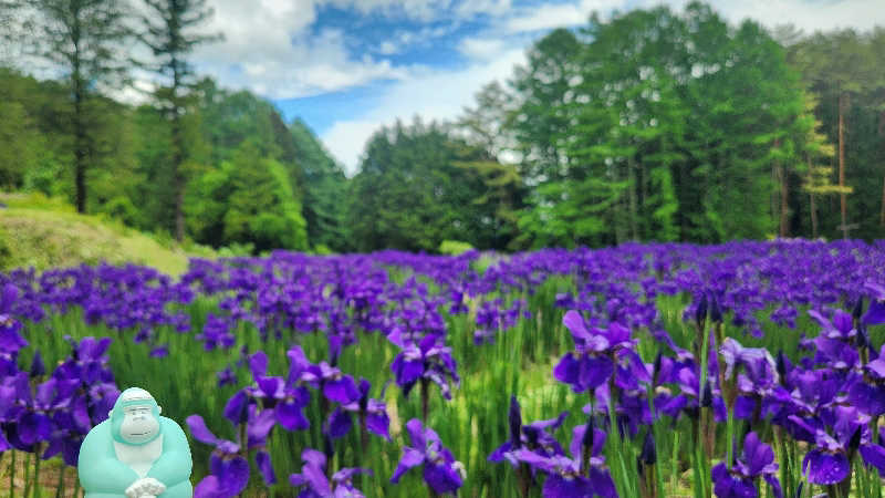 まっきー（・〜・）さんのみのわ温泉 ながたの湯(長田の湯)のサ活写真