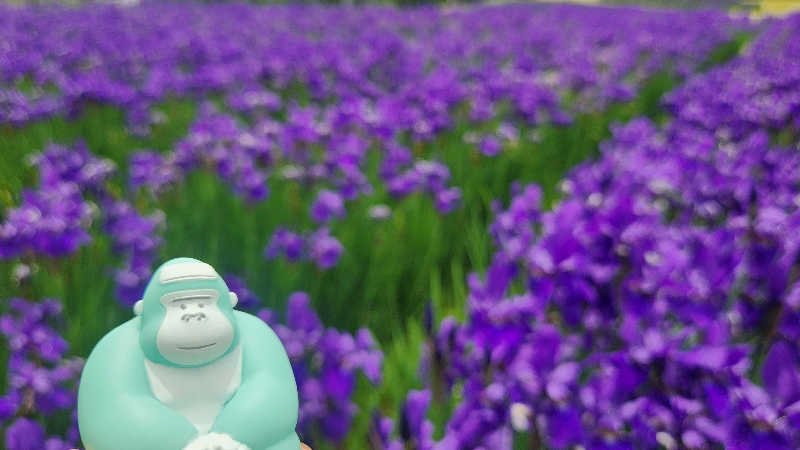 まっきー（・〜・）さんのみのわ温泉 ながたの湯(長田の湯)のサ活写真
