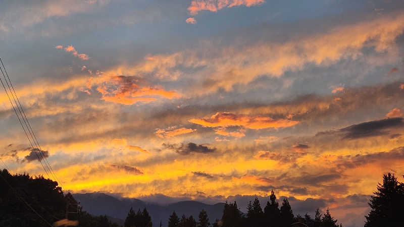 まっきー（・〜・）さんのふれあい交流センター大芝の湯のサ活写真