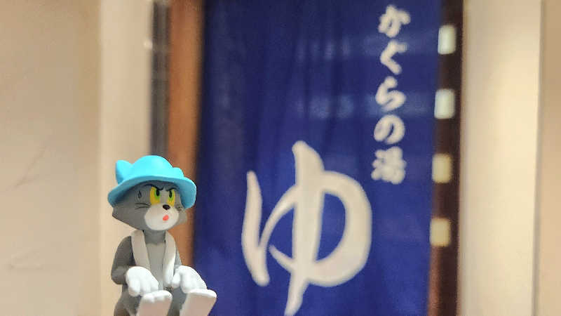 まっきー（・〜・）さんの遠山郷 かぐらの湯のサ活写真