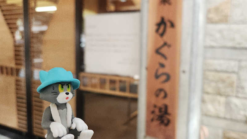 まっきー（・〜・）さんの遠山郷 かぐらの湯のサ活写真