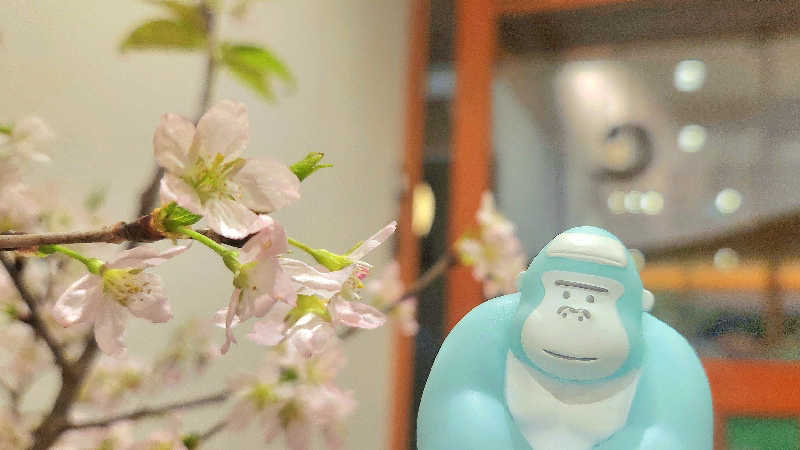 まっきー（・〜・）さんの信州まつかわ温泉 清流苑のサ活写真