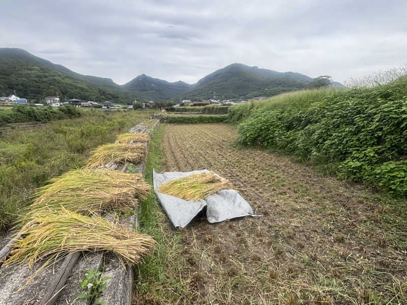 oyaGさんのオリーブ温泉満天の湯のサ活写真