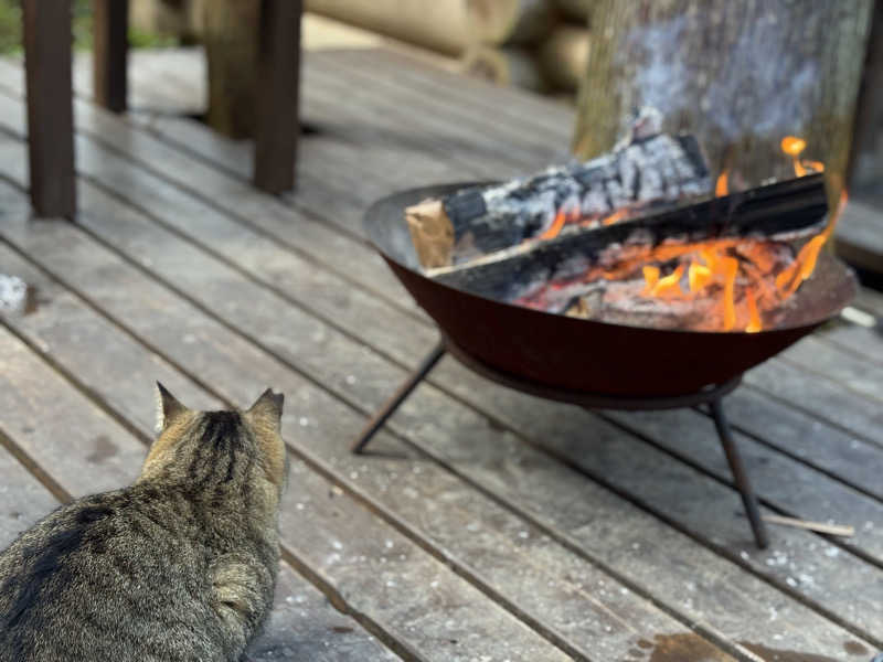 クレベルコスゲさんのsauna enのサ活写真