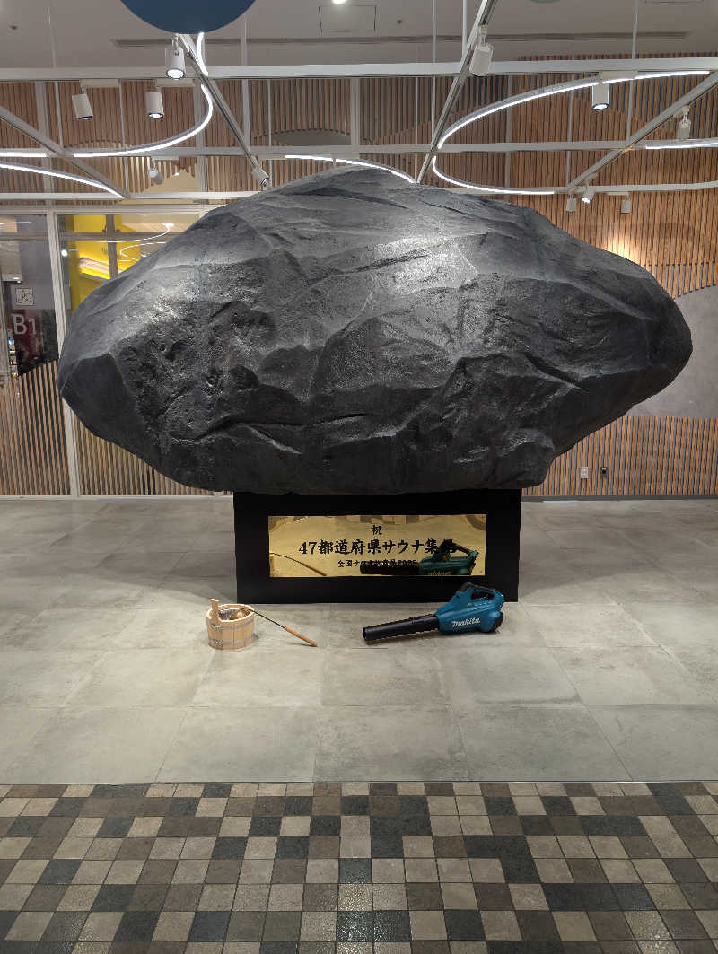 kirigakurejaさんの新宿天然温泉 テルマー湯のサ活写真