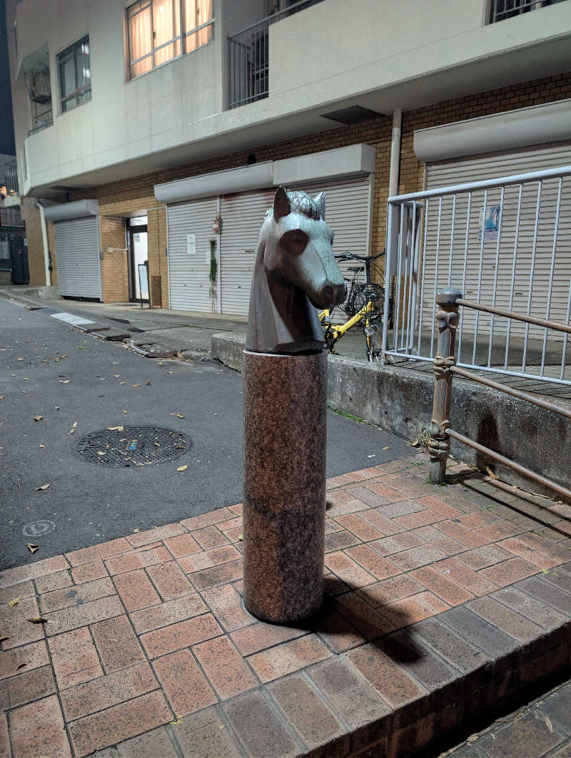 kirigakurejaさんの馬場サウナのサ活写真