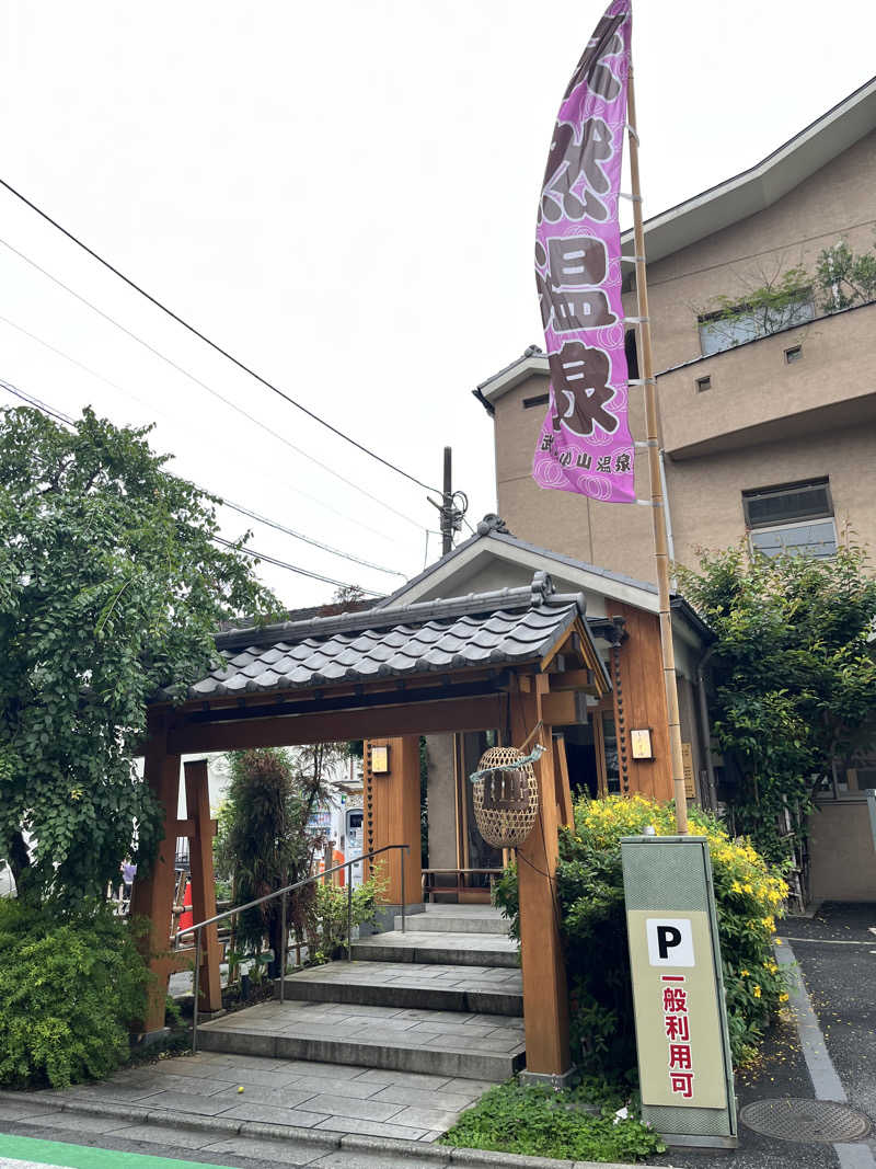 サウサマーさんの武蔵小山温泉 清水湯のサ活写真