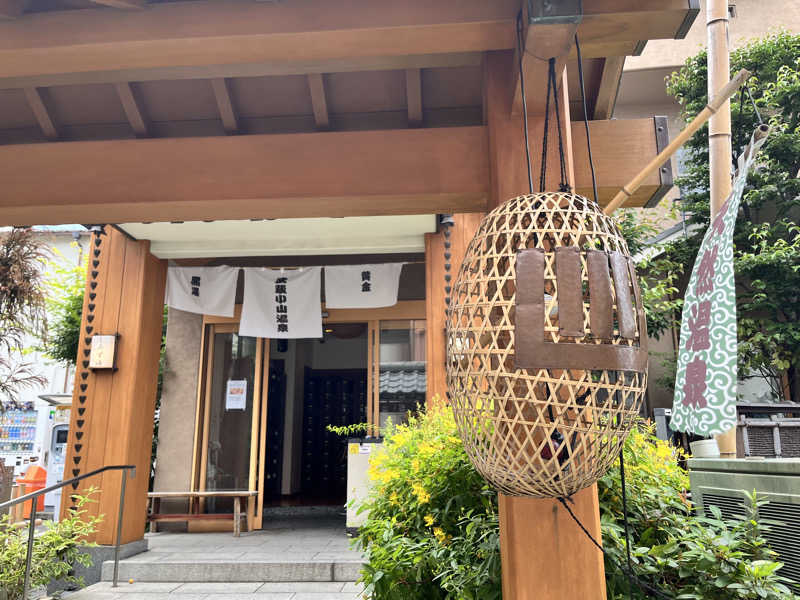 サウサマーさんの武蔵小山温泉 清水湯のサ活写真