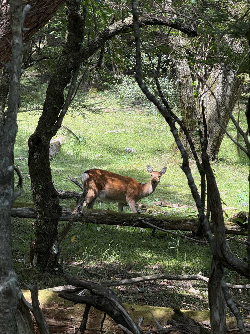 新参サウナー(今中毒)さんの御胎内温泉健康センターのサ活写真
