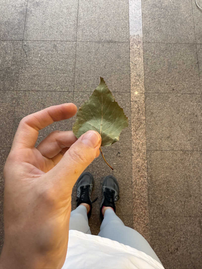 新参サウナー(今中毒)さんの3S HOTEL HIRATSUKAのサ活写真