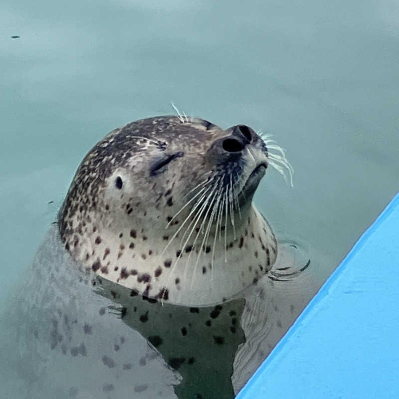 短パン小僧@旭川さんの紋別プリンスホテルのサ活写真