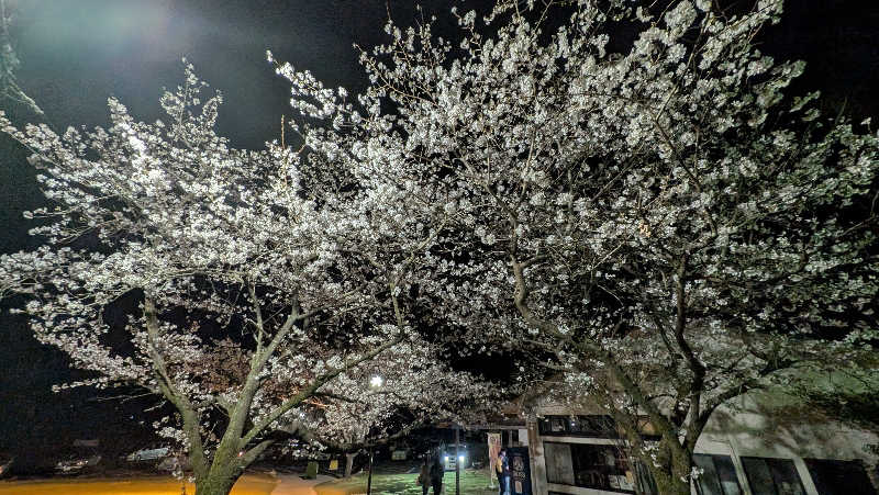 ごんぞうさんの温泉の郷 山鹿どんぐり村のサ活写真