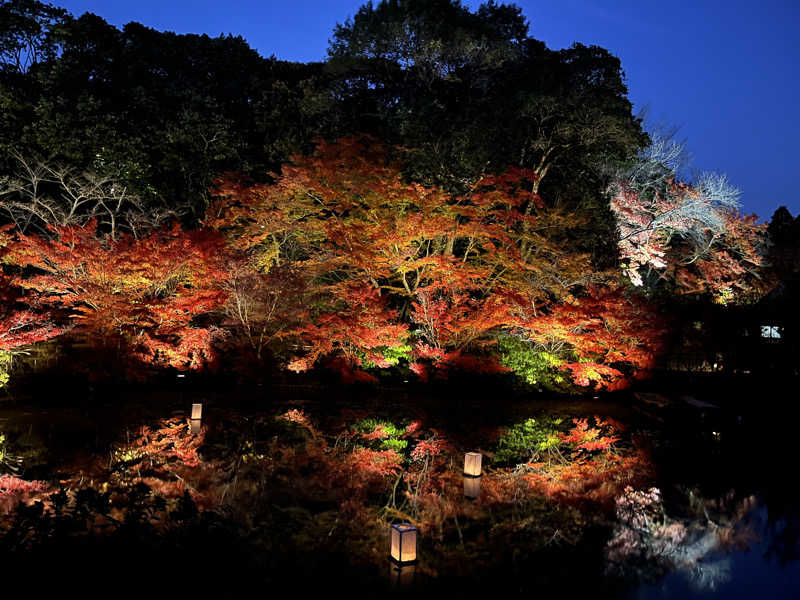 TYPE Rちゃんさんの御船山楽園ホテル  らかんの湯のサ活写真