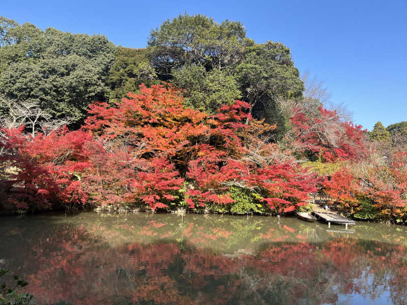 TYPE Rちゃんさんの御船山楽園ホテル  らかんの湯のサ活写真