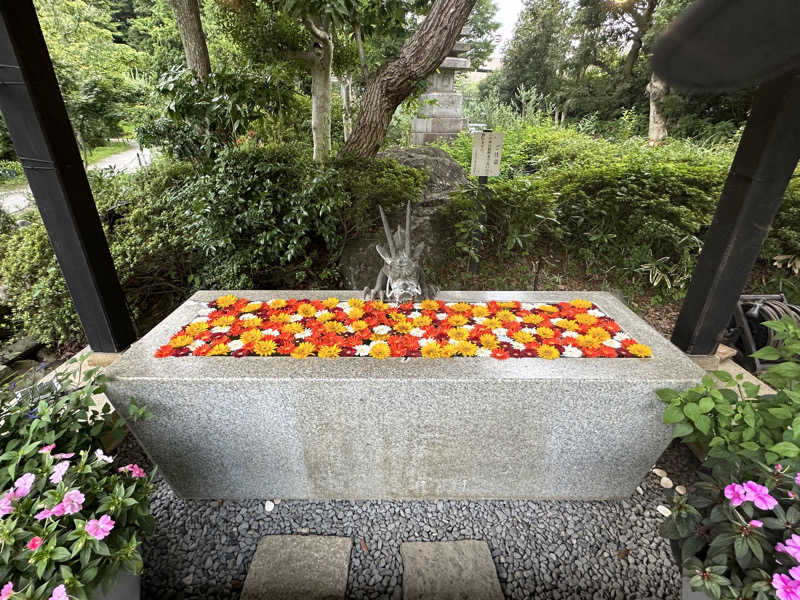 茉莉花さんのよみうりランド眺望温泉 花景の湯のサ活写真