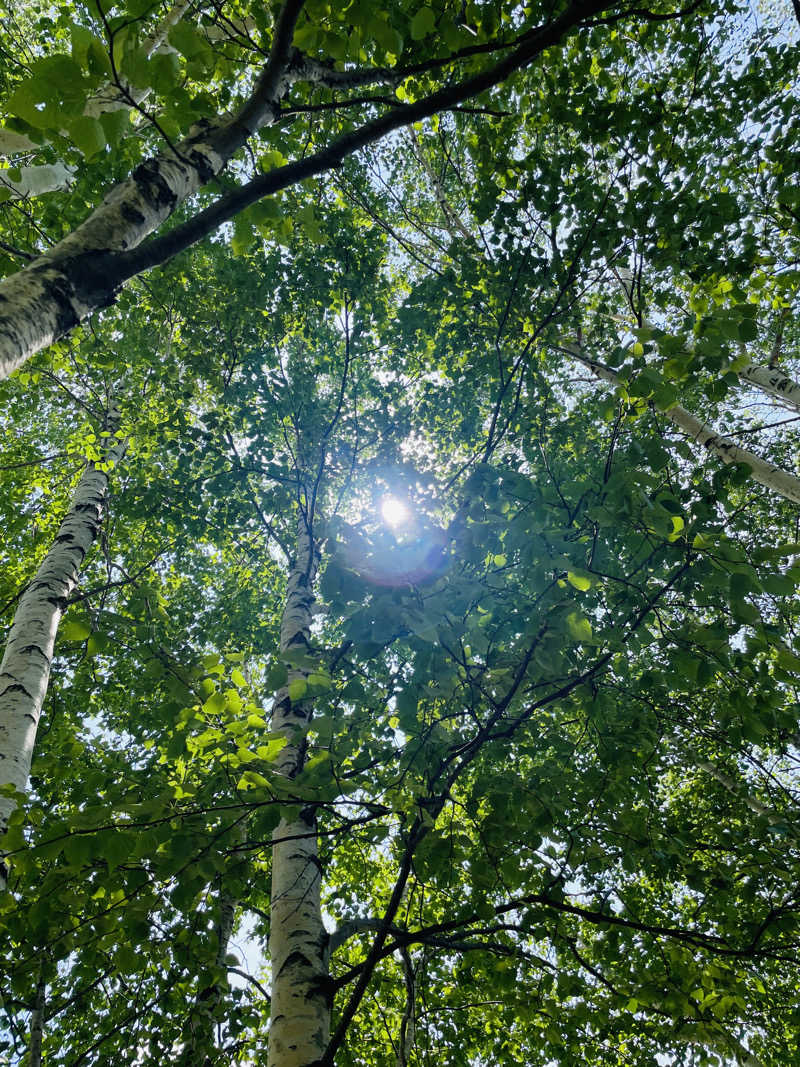 ウィスキング キャプテン くろだっこ🌿さんの平庭山荘 しらかばの湯のサ活写真