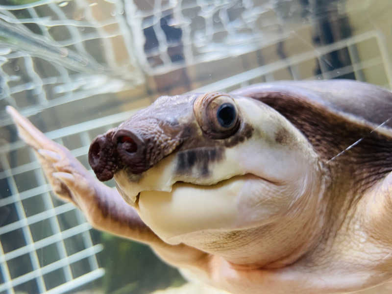 ウィスキング キャプテン くろだっこ🌿さんの松本湯のサ活写真