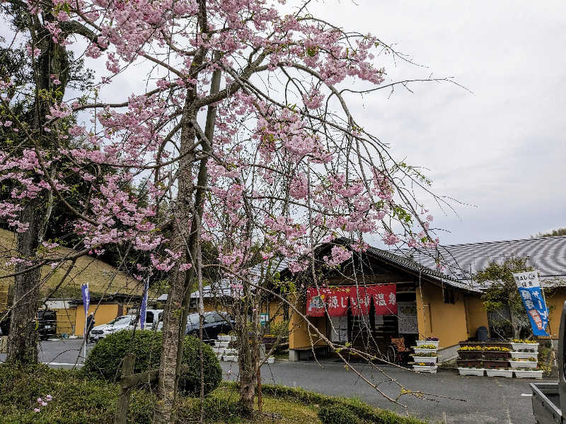 ryuさんの赤村ふるさとセンター 源じいの森温泉のサ活写真