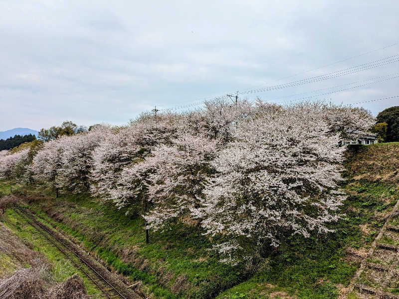 ryuさんの赤村ふるさとセンター 源じいの森温泉のサ活写真