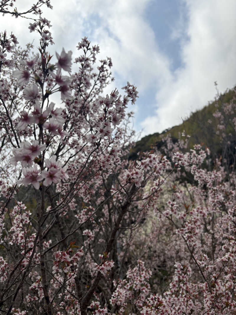 出張サウナーさんのYUASOBIのサ活写真