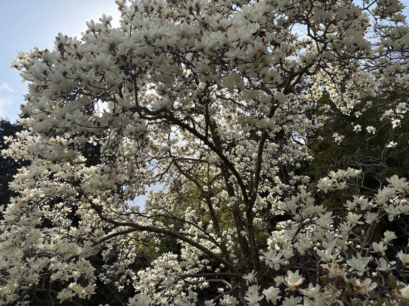 出張サウナーさんのYUASOBIのサ活写真