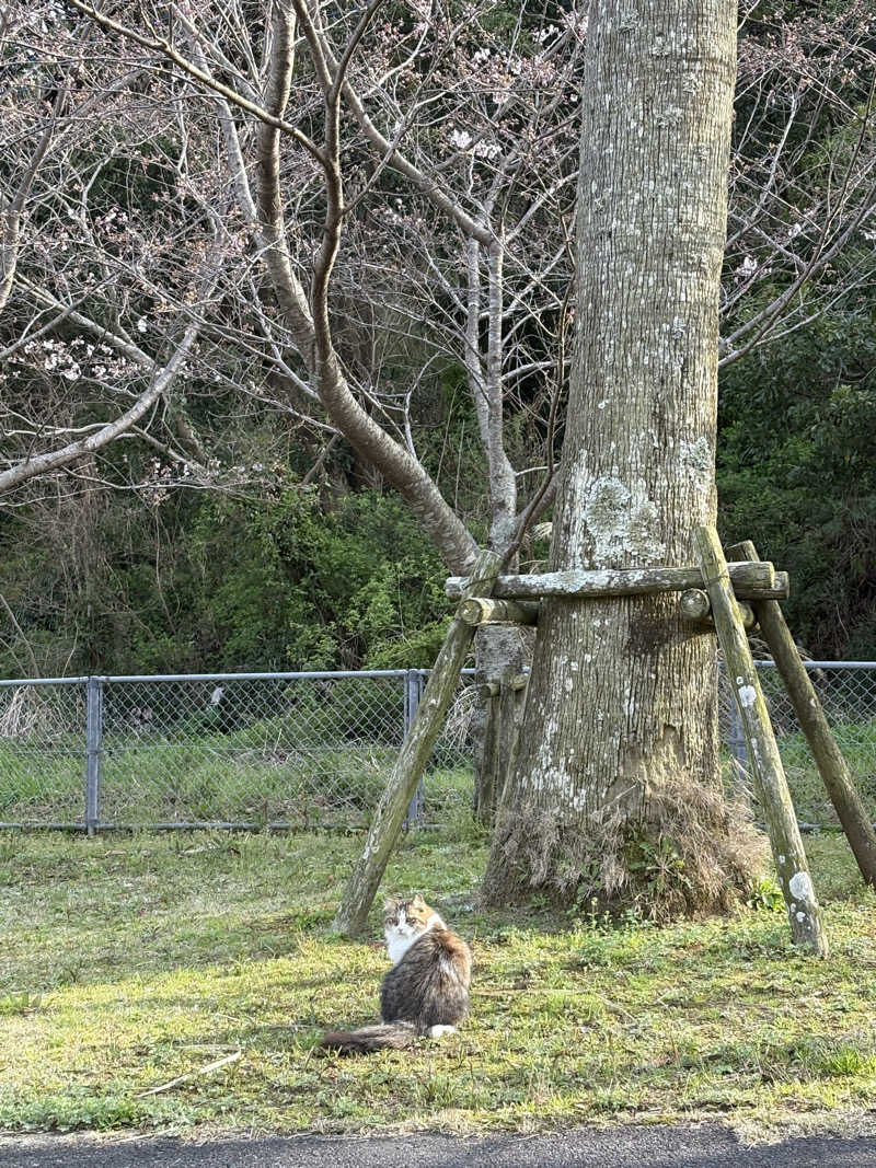 出張サウナーさんのYUASOBIのサ活写真