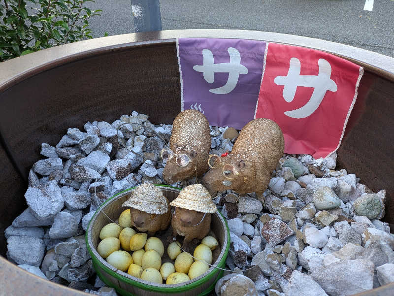 月子さんの富士山天然水SPA サウナ鷹の湯のサ活写真