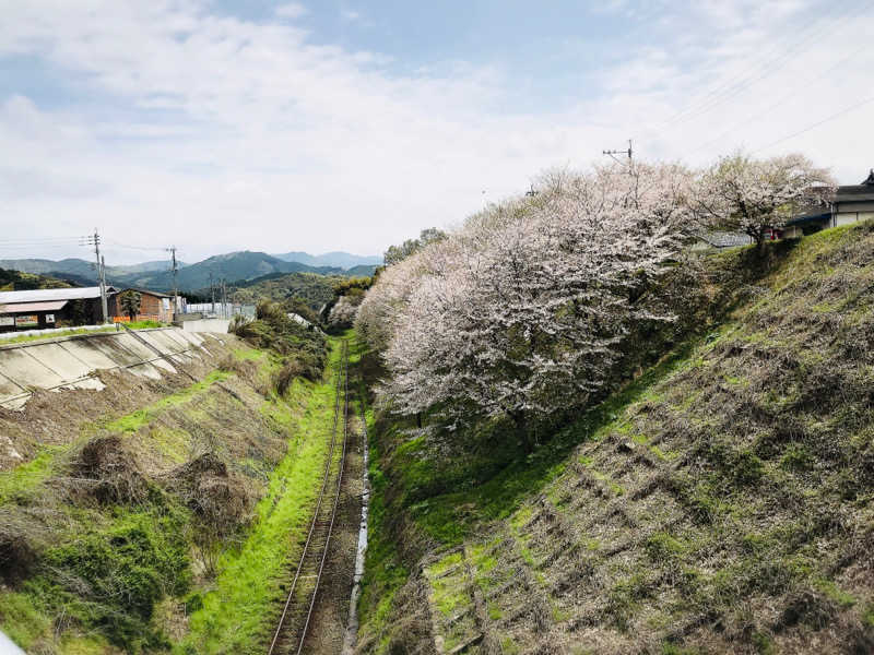 スイさんの赤村ふるさとセンター 源じいの森温泉のサ活写真