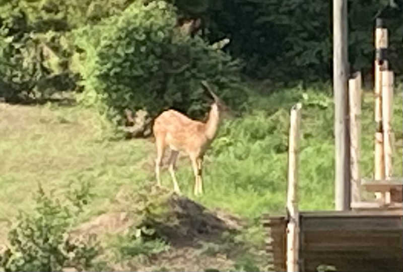 KTYさんの唐桑御殿つなかん サウナのサ活写真