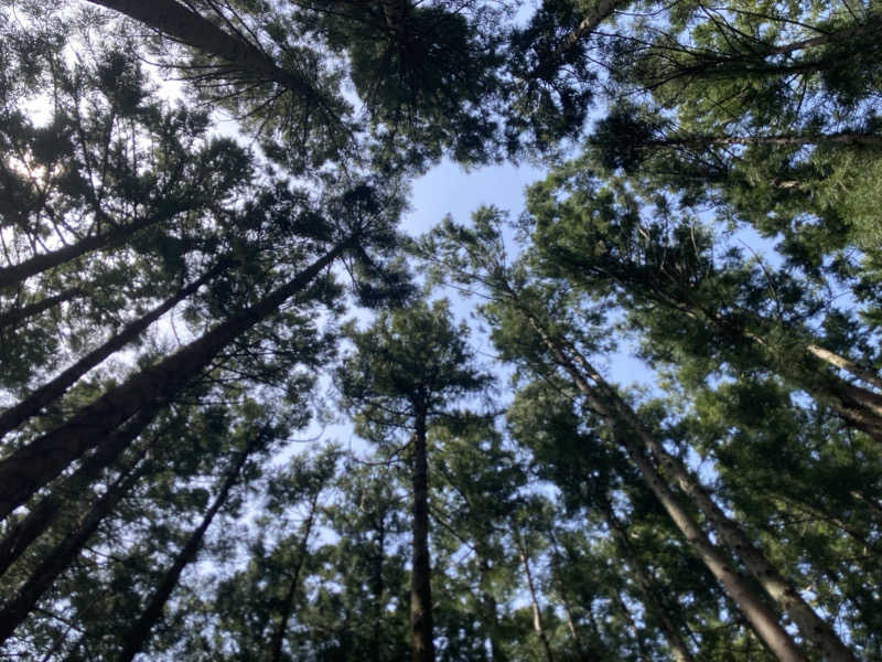 KTYさんのJUURI SAUNA(ユーリサウナ)のサ活写真