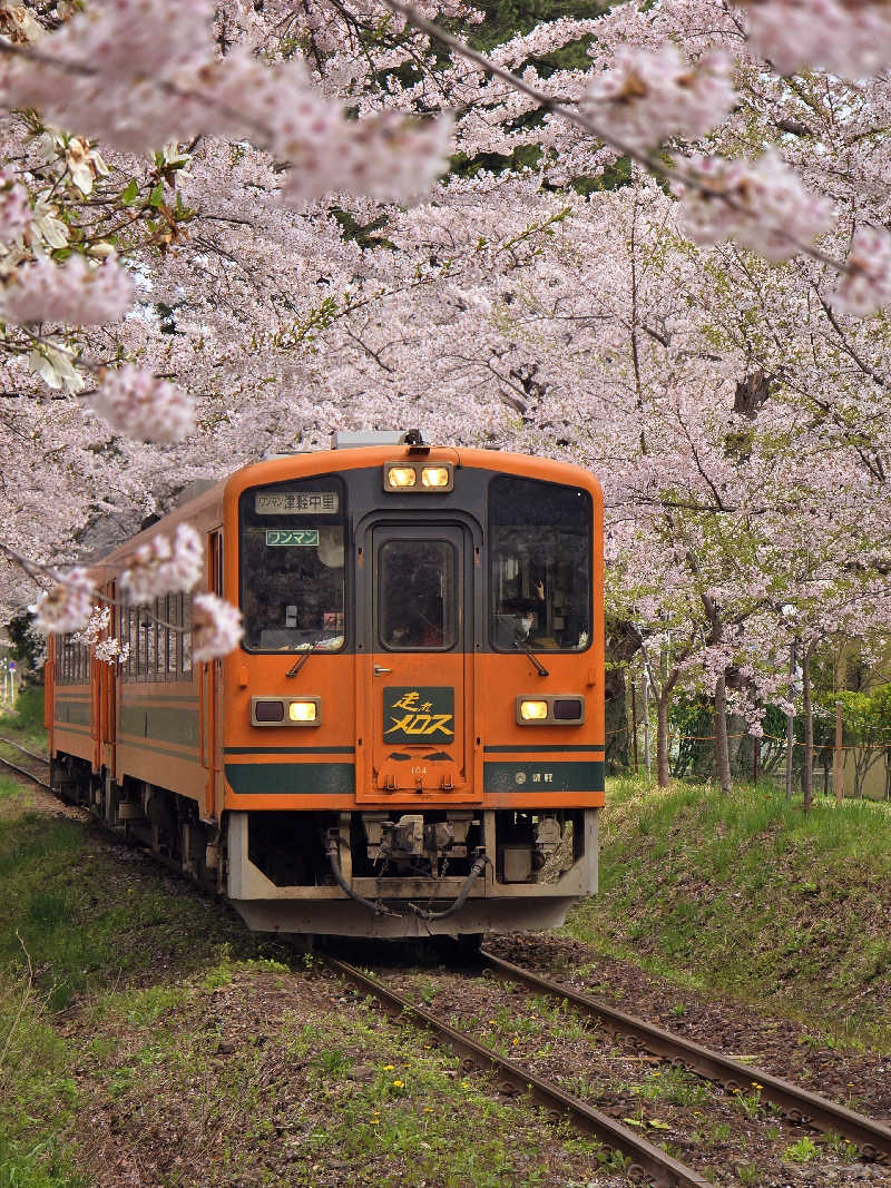 じょっぱりさん🍎さんの中泊町総合福祉健康センター 湯らぱーくのサ活写真