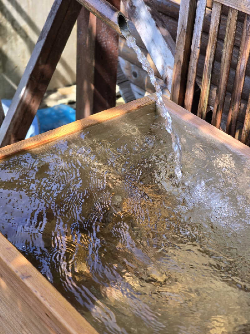 じょっぱりさん🍎さんの奥札幌の秘湯 湖畔の宿支笏湖 丸駒温泉旅館のサ活写真