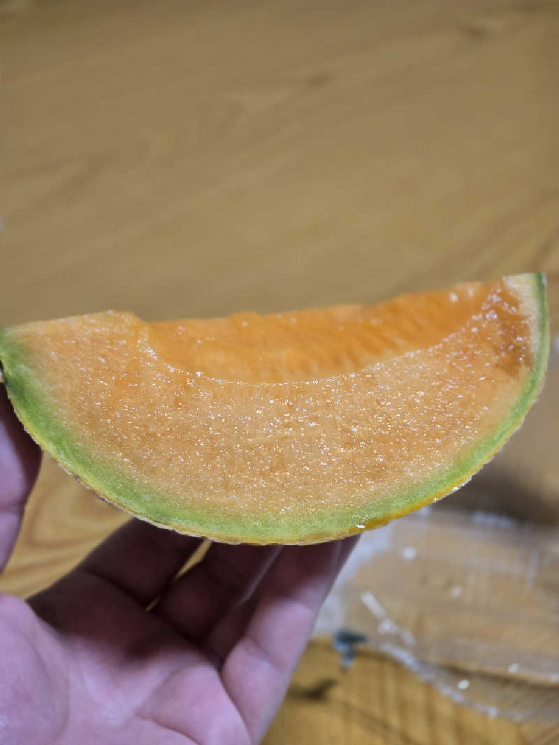 じょっぱりさん🍎さんの奥札幌の秘湯 湖畔の宿支笏湖 丸駒温泉旅館のサ活写真