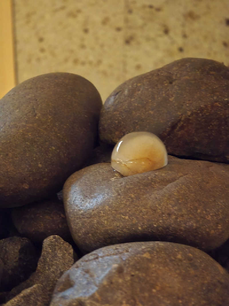 じょっぱりさん🍎さんの蔵サウナと文化財の宿 森長のサ活写真