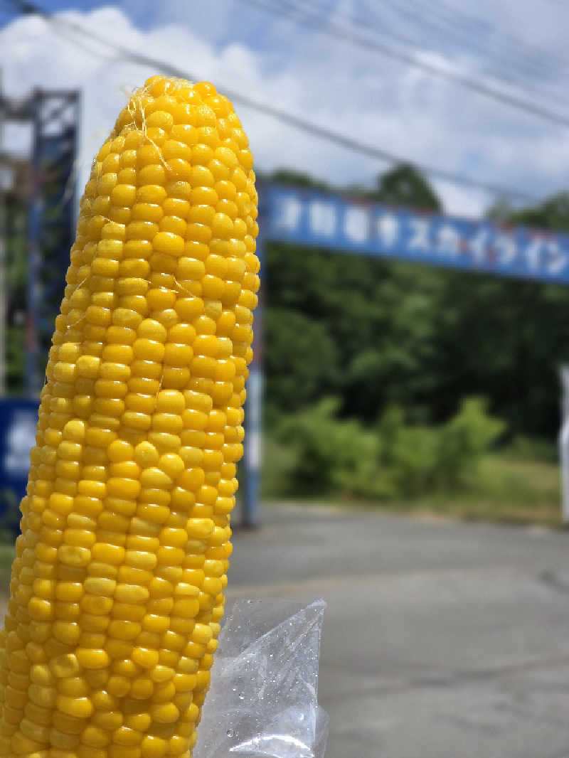 じょっぱりさん🍎さんの大鰐町地域交流センター 鰐come(ワニカム)のサ活写真