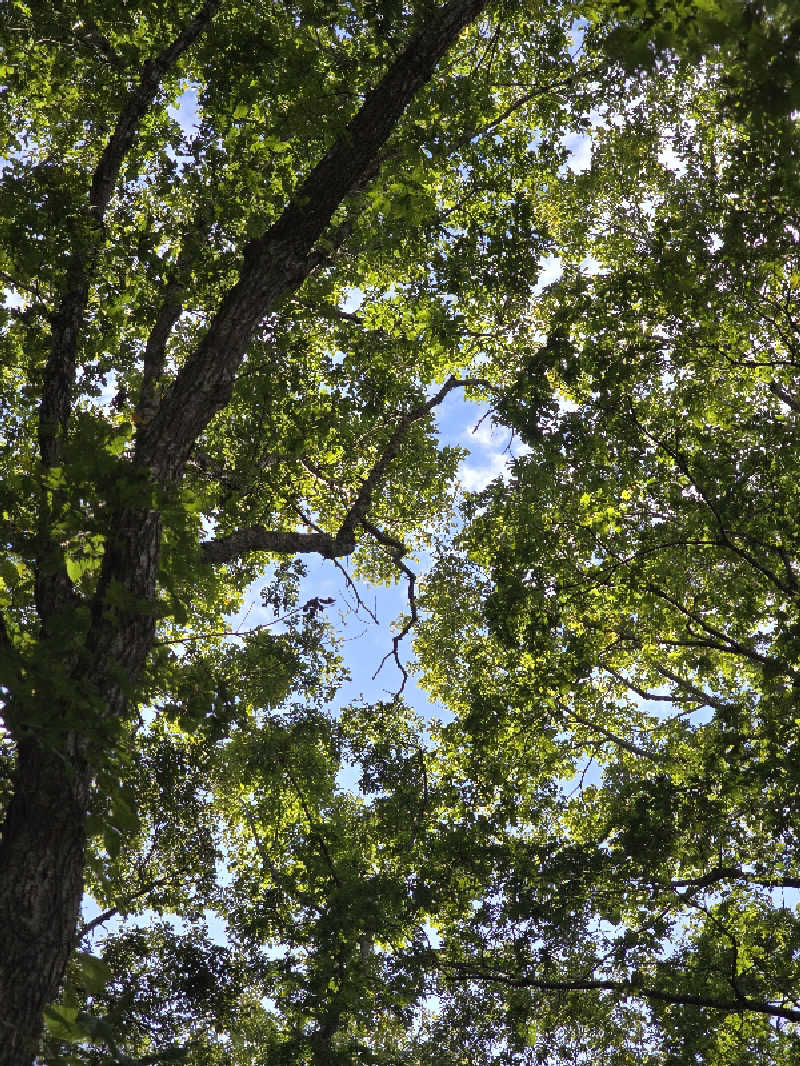じょっぱりさん🍎さんの極楽湯 青森店のサ活写真