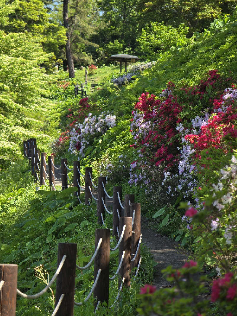 じょっぱりさん🍎さんの大鰐町地域交流センター 鰐come(ワニカム)のサ活写真