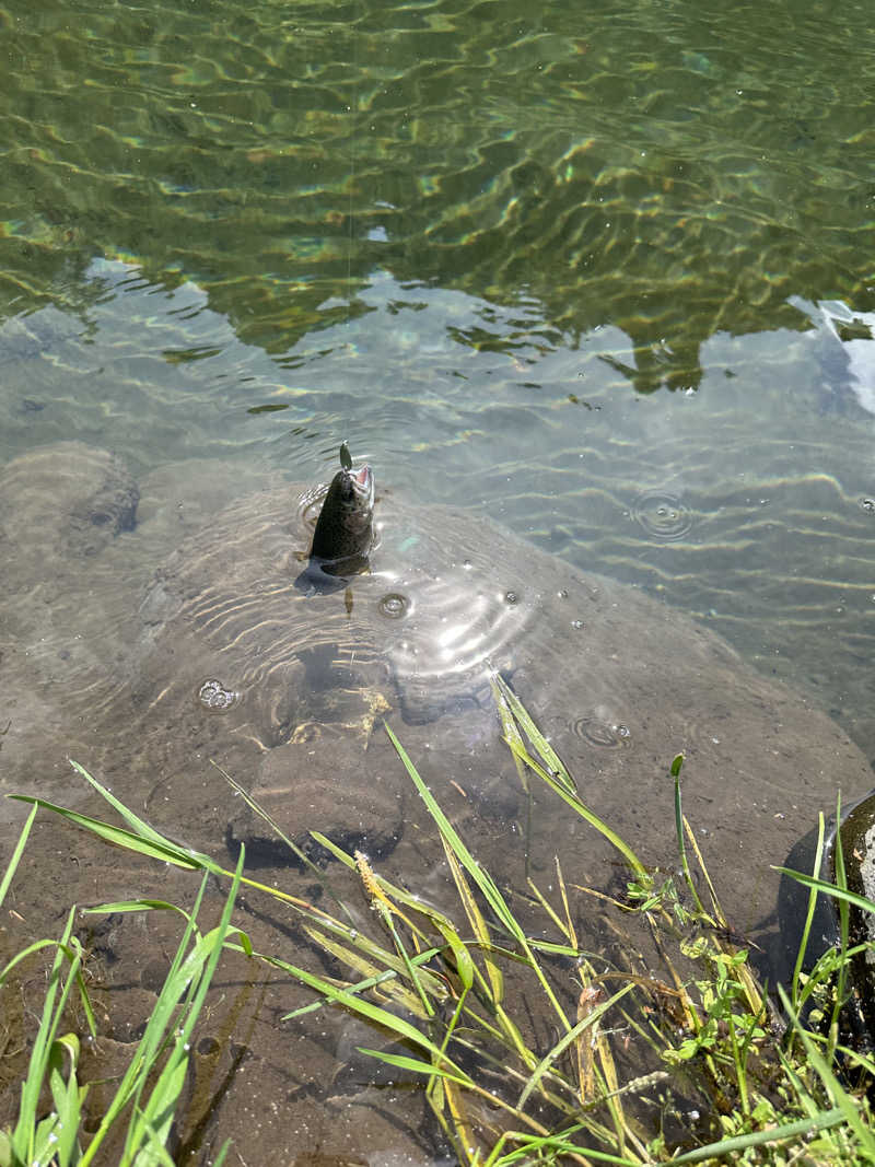 とある雪民のサウナ記録さんのスパティオ小淵沢 延命の湯のサ活写真